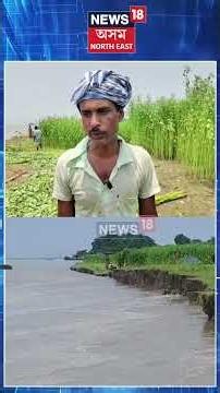 Assam Erosion News | জলেশ্বৰৰ সাতভেণ্ডি গাঁৱত হোৰাহোৰে খহিছে ব্ৰহ্মপুত্ৰৰ গৰা