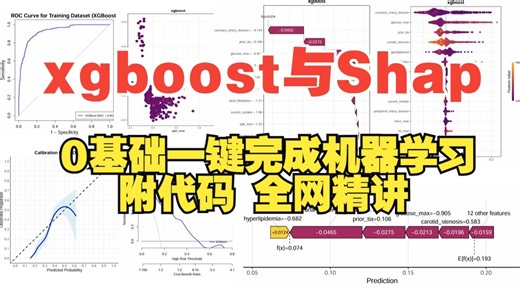 5（下）二分类-xgboost机器学习联合Shap可解释性分析精讲，零基础可学，附代码，带你零基础学生信~