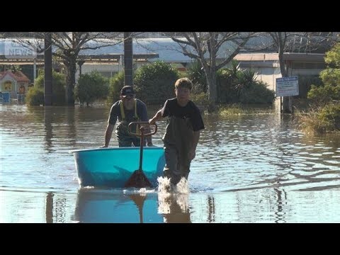 Typhoon No. 26 approaches; Lake Inbanuma remains flooded; 100,000 koi and goldfish may be almost ...
