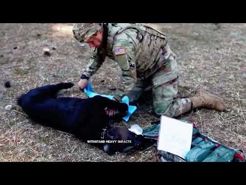 How US is Testing Its Most Advanced AI Robots Ever