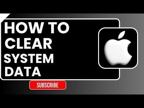 How to Clear System Data on iPhone & Free Up Space (Full Storage Fix Guide)