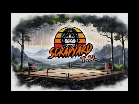 Let's watch some fights together