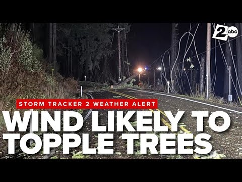 Wind storm to hit Oregon on Christmas Eve, bringing down trees, knocking out power, & blocking roads