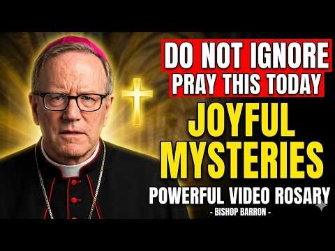 Holy Rosary in Video – Joyful Mysteries – Wednesdays and Fridays | Bishop Barron
