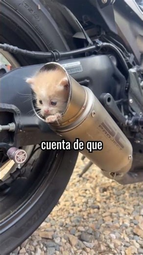 Completely defenseless riders? 😳