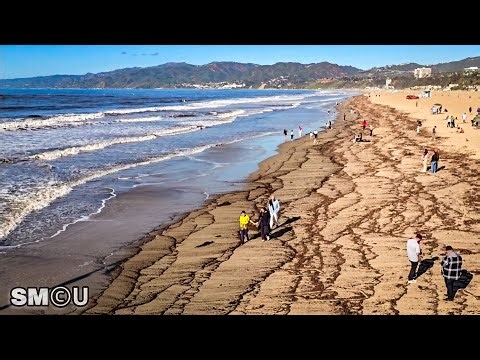 𝗕𝗘𝗔𝗖𝗛 𝗖𝗢𝗡𝗗𝗜𝗧𝗜𝗢𝗡𝗦: Dark Debris Lines Santa Monica Shoreline After Days of Rain