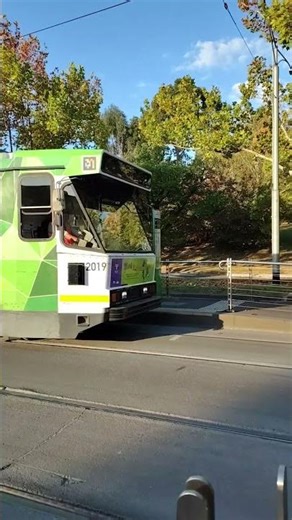 Week by Week Autumn Melbourne - Week 4 Update #melbourneaustralia #weather #seasonalvlog