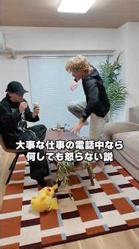 大事な仕事の電話中なら何しても怒らない説をダイキ様にやったらヤバいことになった笑#ダイキ様#ドッキリ#アイスクリーム#ポケモンカード#電話ドッキリ