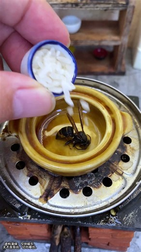 Bee cooking rice, tip of the tongue # bee # insect food # mini food # cooking I'm serious # simpl...