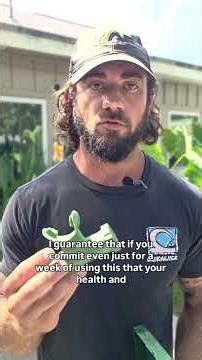 The O2 Trainer: Review and How To #operationantifragile