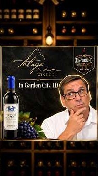 Telaya Wine Co Garden City Review | One of Idaho Wine’s Best Stops