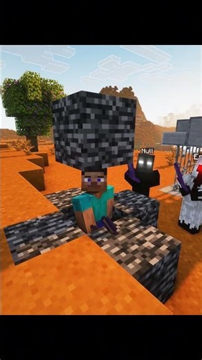 Null and Entiry303 fear facing Steve