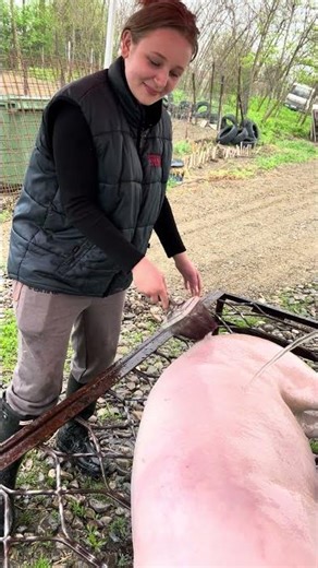 How do siblings get along with each other?