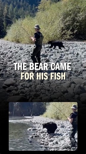 This Bear Wanted the Fish on His Hook 🤯
