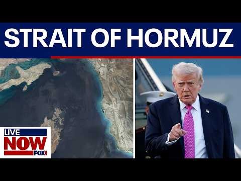 Trump nixes Strait of Hormuz proposal amid Iran conflict