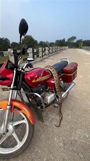 A Lonely Bike… and a Giant Python Hidden on It! #shorts #snake #snacks #wildlife #ytshorts