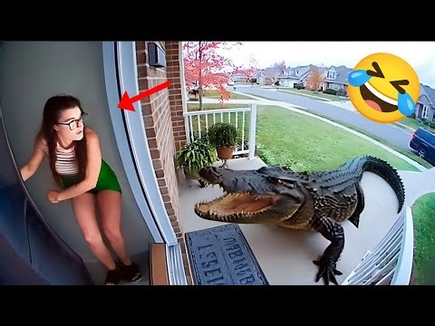 Try Not To Laugh 😂 ! Best Funny Videos Compilation | Memes Part 40