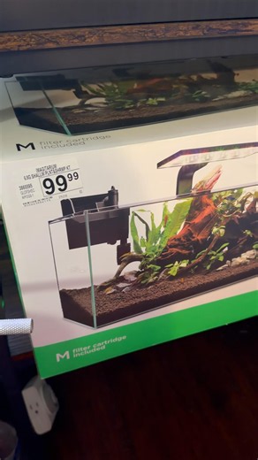 🚨 PETCO DEAL ALERT! 🚨 #aquarium #fishkeepinghobby #fishtank