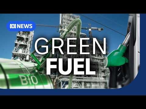 Could this be the future of fuel? | The Business | ABC NEWS
