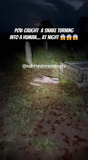 Cemetery Footage: Snake Transforms into Human