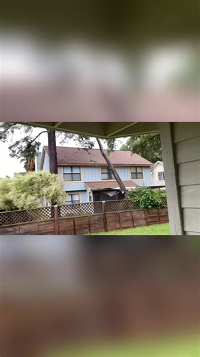 Looking for the best price on professional tree removal in Atlanta? 📍🍑 Stop overpaying for "big-brand" overhead. Panther Tree Experts delivers master-grade tree work without the massive price tag. 🏗️✨ Why homeowners choose the Panthers: 💰 Clear Pricing: Trees starting at just $800. 💰 No Surprises: 100% FREE, itemized estimates before we start. 💰 Local Pros: We know Atlanta soil and species better than anyone. 🌳🔨 We make it stupidly easy to get that tree gone. 🕊️✅ 👇 Click "Learn More" t