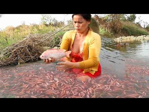 Beautiful lady fisherman catching catfishing in village big river #fishingvideo #fish