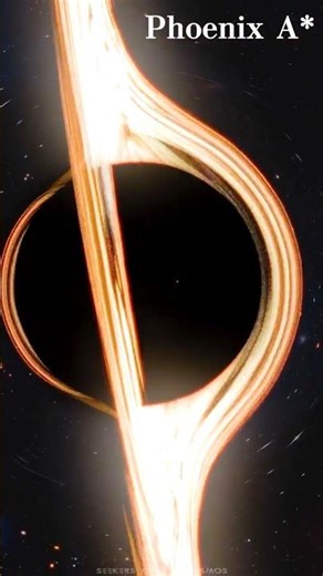 The Largest Star & Black Hole
