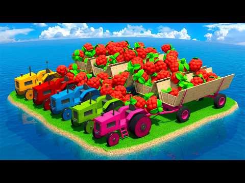 WOODEN TRACTORS & Claas Wheel Loaders vs OBSTACLES & RASPBERRY CHALLENGE! 🍓🚜