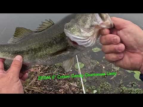 Largemouth Bass Pond x3, Slobberknocker, Rapala, ZOOM#berkleyfishing#rapala#zoom#crushcity#kastking