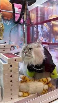 The claw machine surprised me again (part 90) #clawmachine #arcade #prize