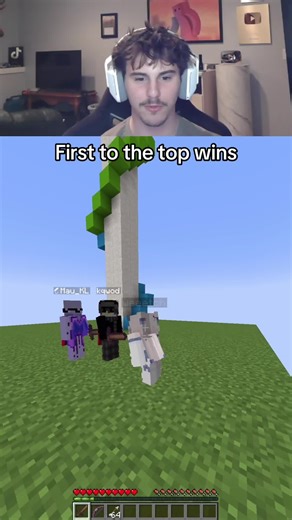 Minecraft first to the top wins #minecraft #minecraftmemes #minecrafter
