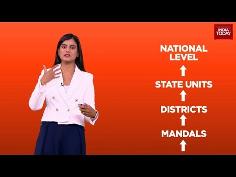 Nitin Nabin Appointed BJP President: Understanding The Election Process Of The World's Largest