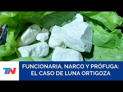 Encontraron cocaína en la casa de una funcionaria de Morón: la acusan de ser parte de una banda
