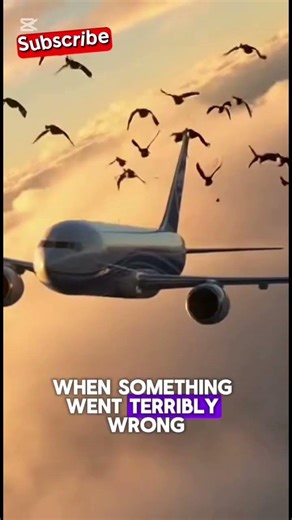 Captain Sully’s Miracle: Landing a Plane With No Engines on the Hudson River.