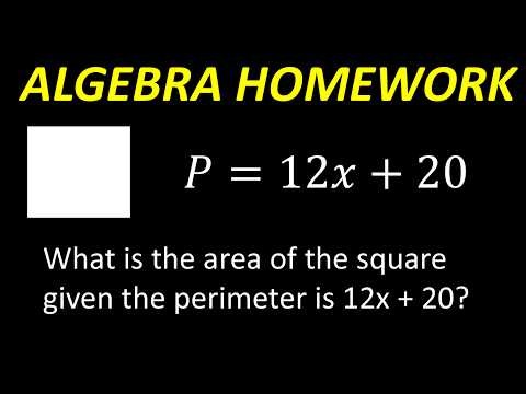 Can You Solve This Algebra Homework Problem? Perimeter & Area of a Square