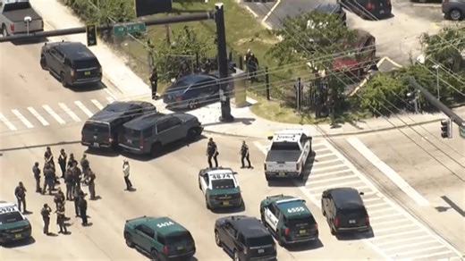 BMW carjacking suspect arrested after PIT maneuver and crash in Lauderhill, BSO says