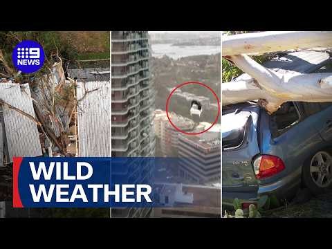 Thousands still without power after wild winds in Sydney wreak havoc | 9 News Australia