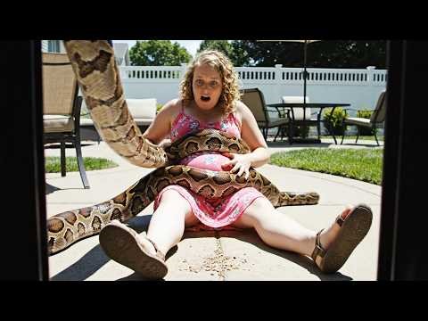 They Cut Open A Monster Python To Save A Pregnant Woman Swallowed ALIVE!
