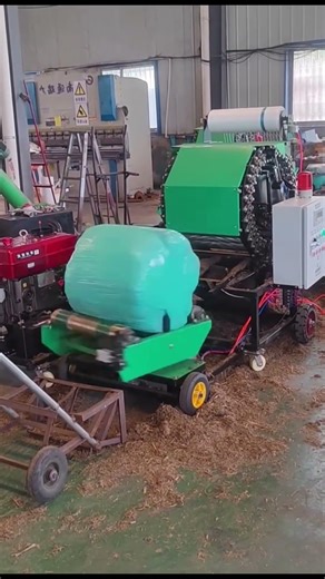 Automatic Agriculture Parcel Packing Machine