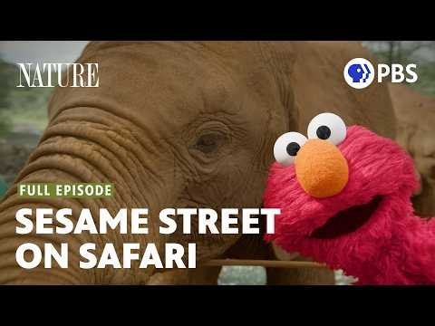 Sesame Street and the Great Elephant Adventure | PBS Nature | Full Episode