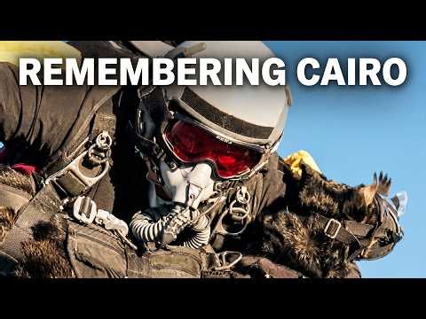 Cairo: The SEAL Team 6 Dog Who Helped Capture Bin Laden