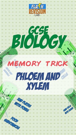 GCSE BIOLOGY MEMORY HACK #gcse #science #biology