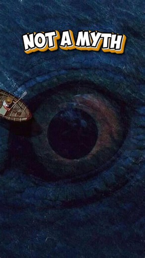 KRAKEN IS REAL