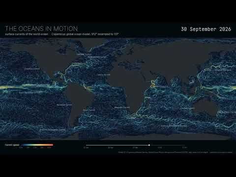 The oceans in motion: a month of the world's surface currents