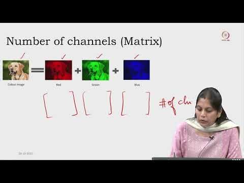 Lec 11 Fundamentals of Image representation and Image preprocessing and Data augmentation
