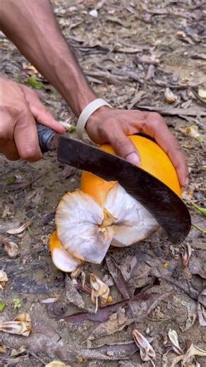 Jungle Boy’s Ingenious DIY Fruit Nectar 🍾😱 #shorts #survival #facts
