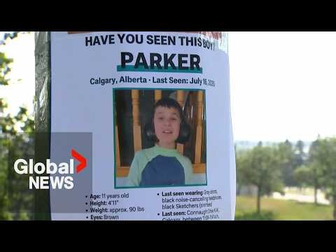 Search for missing Calgary boy prompts call for Amber Alert review