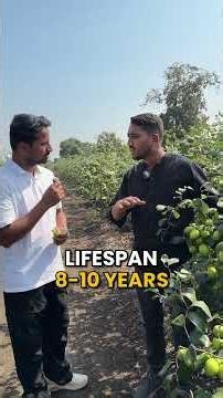 1 बार INVEST करो, 10 साल NON-STOP कमाओ! 💸🔥 #indianfarmer #shorts