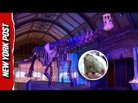 Antarctica’s First-Ever Dinosaur Bone Discovered Collecting Dust In Drawer For Over 40 Years