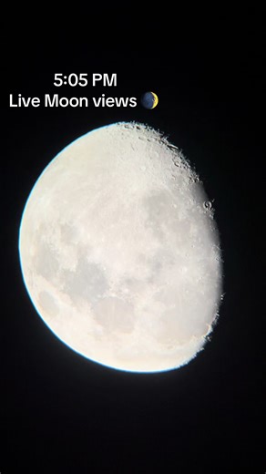 Live through of the moon through my dobsonian telescope, 12.5mm eyepiece | #telescope #moon #stargazing
